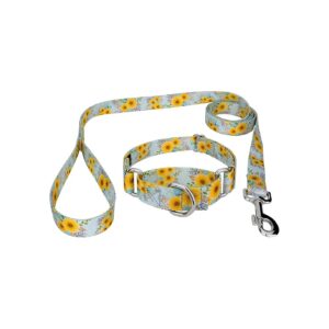 Martingale Dog Collar and Leash with 1 Inch Width and Springtime Designs