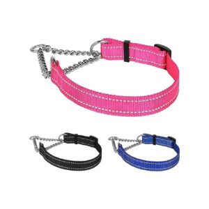 Martingale Dog Collar with Adjustable Stainless Steel Chain and Nylon Body Pink