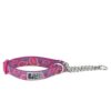 Martingale Dog Collar with Nickel Plated Hardware for Training and Walking