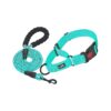 Martingale Dog Collars with Quick Release Buckle for Small Medium Large Dogs