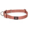 Martingale Heavy Duty Slip-On Dog Collar for Puppies and Adult Dogs - Brick Medium