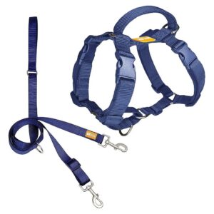 Martingale No Pull Dog Harness and Two Point Control Training Leash for Dog Walking