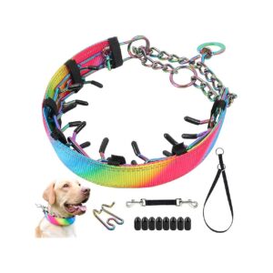 Martingale Prong Collar for Small Medium Large Dogs with Backup Slip Collar and Clip