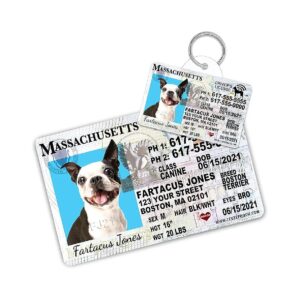 Massachusetts Custom Pet Tags and Wallet Card for Dogs and Cats