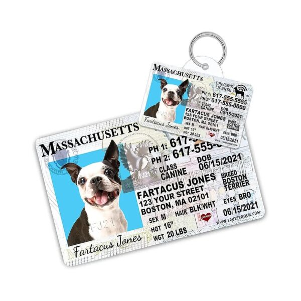 Massachusetts Custom Pet Tags and Wallet Card for Dogs and Cats