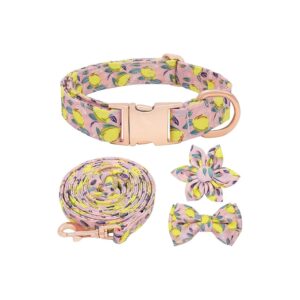 Matching Dog Collar and Leash Set with Bow Tie for Small to Large Breed Dogs