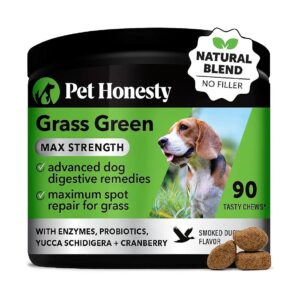 Max Strength Burn Spot Chews for Dogs - Advanced Formula for Healthy Digestion