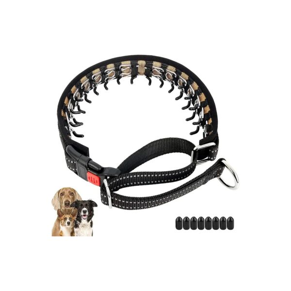 Mayerzon Martingale Collar for Dogs - Anti-Pulling Dog Collar with Buckle Adjustment