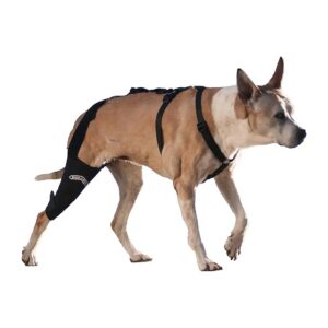 Med-Large Right 12-13 Inch Adult Dog Knee Support for Knees with Instability