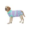 Medical Dog Suit for Recovery Spay Surgery, Cone Alternative Soft