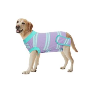 Medical Dog Suit for Recovery Spay Surgery, Cone Alternative Soft