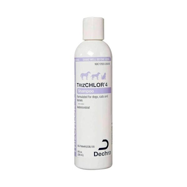 Medicated Shampoo for Itchy Skin Care in Dogs Cats and Horses