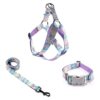 Medium Adjustable Dog Halter Harness with Basic Collar and Anti-Twist Leash