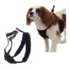 Medium Black Anti Pull Mesh Dog Harness for Neck Sizes 10-16