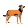 Medium Blaze Orange Dog Vest for High Visibility and Safety