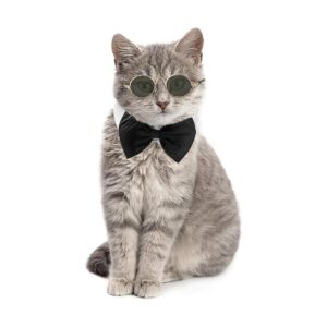 Medium Breed Dog and Cat Size Adjustable Pet Neck Tie and Sunglasses for Party Wear