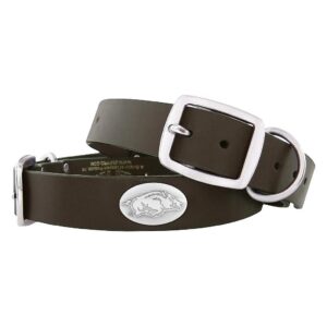 Medium Brown Leather Pet Collar with Arkansas Razorbacks Team Spirit Conchos