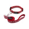 Medium Dog Collar and Leash Set with Red Foil Dog Bone Pattern