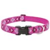 Medium Dog Collar with Puppy Love Design, 1-inch Wide, Adjustable to 20 inches