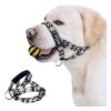 Medium Dog Head Collar for Comfortable Wear and Training