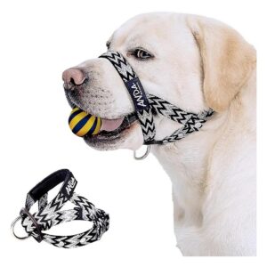 Medium Dog Head Collar for Comfortable Wear and Training