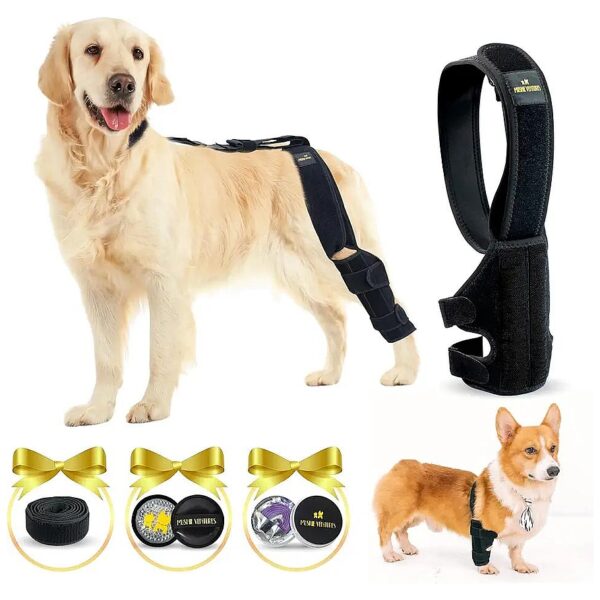 Medium Dog Knee Support Bundle with Adjustable Front Hind Leg Braces and Calm Collar