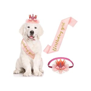 Medium Dog Pet Girl Birthday Outfit Set with Pink Sash and Crown