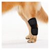 Medium Dog Rear Leg Hock Joint Compression Wrap Supports Joint Comfort Arthritis Relief