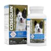 Medium-Dose Glucosamine and MSM Joint Health Supplement for Dogs