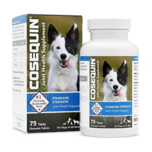 Medium-Dose Glucosamine and MSM Joint Health Supplement for Dogs