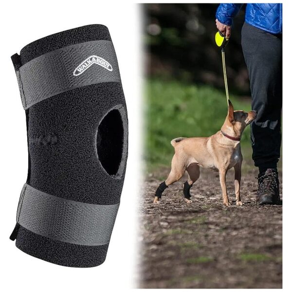 Medium Hock Support Brace for Arthritic and Injured Joints Provides Stability