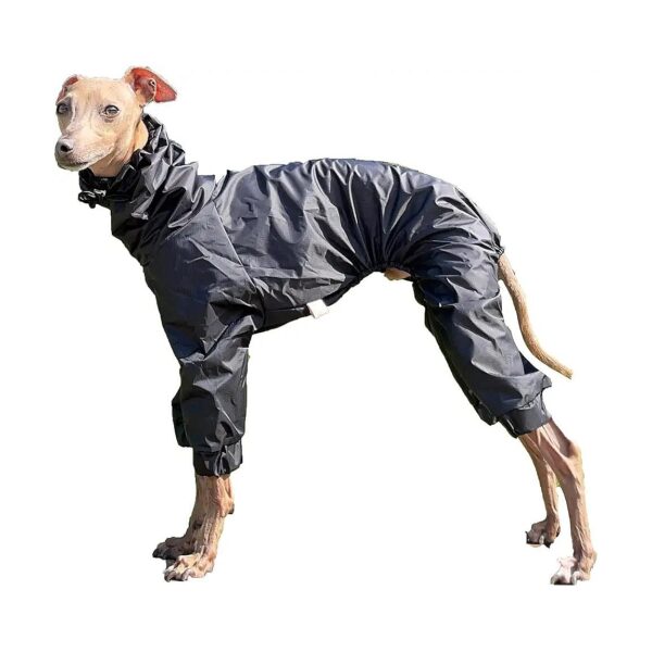 Medium Italian Greyhound Waterproof Raincoat Windbreaker Jacket Clothing