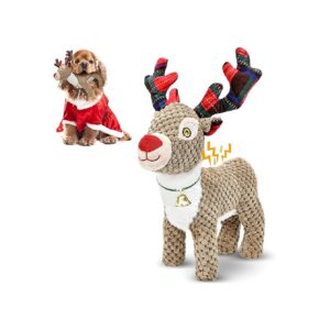 Medium, Large Breed Dogs, Christmas Gift Ideas for Puppy's Birthday and Holiday