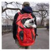 Medium Large Dog Cat Travel Backpack Carrier with Ventilation System Safety Leash New Red