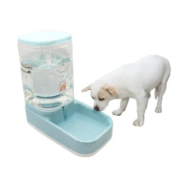 Medium, Large Dogs, 1-Gallon Capacity Pet Water Feeder