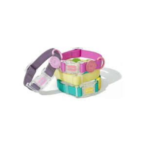 Medium, Large, and Extra Large Dog Collars - Waterproof and Odorless