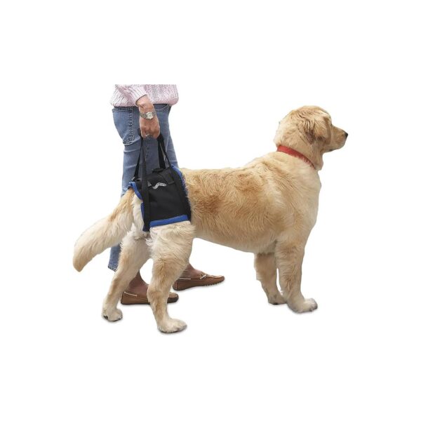 Medium Patented Support Harness for Pets with Back End Weakness Mobility Assistance