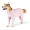 Medium Pink Dog Recovery Suit for Abdominal Wound After Surgery Wear