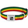 Medium Rasta Multi Color Seatbelt Buckle Dog Collar 16-23 Inch Neck