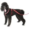 Medium Red Dog Harness with Fleece Lining for Maximum Comfort