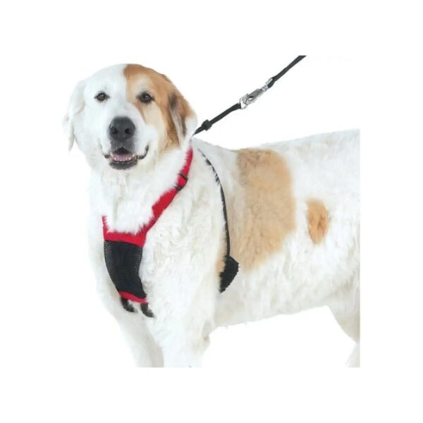 Medium Red Mesh Dog Harness for Reduced Pulling