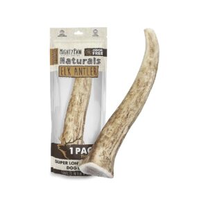 Medium Size 6 Inch Deer Antlers for Dogs Premium Dog Chews for Large and XL