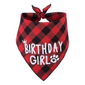 Medium Size Dog Bandana for Birthday Celebration Comfortable Wear Adjustable