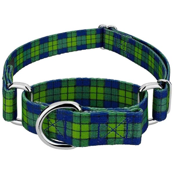 Medium Size Dog Collar in Blue and Green Plaid with Martingale Design for Comfort