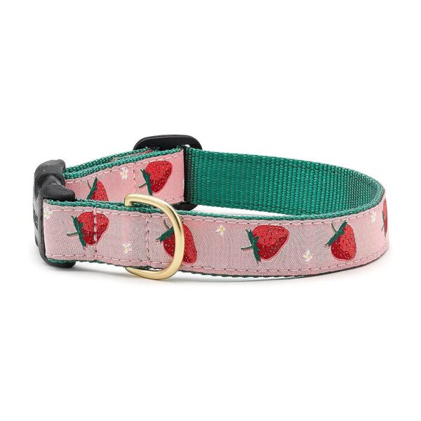 Medium Size Dog Collar with 1 inch Wide Nylon Webbing and Decorative Ribbon