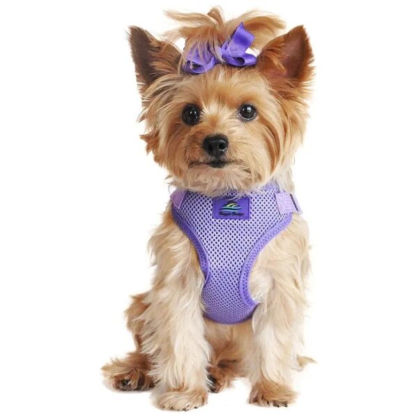 Medium Size Dog Harness in Paisley Purple with Wrap and Snap Design