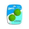 Medium Size Erratic Rubber Ball for Dog Playtime Fun