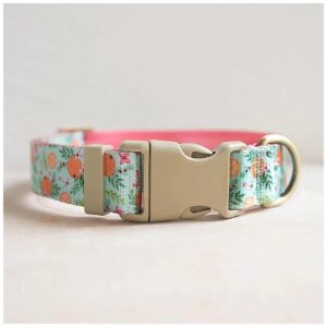 Medium Size Fruit Orange Floral Pattern Nylon Dog Collar for Rustic