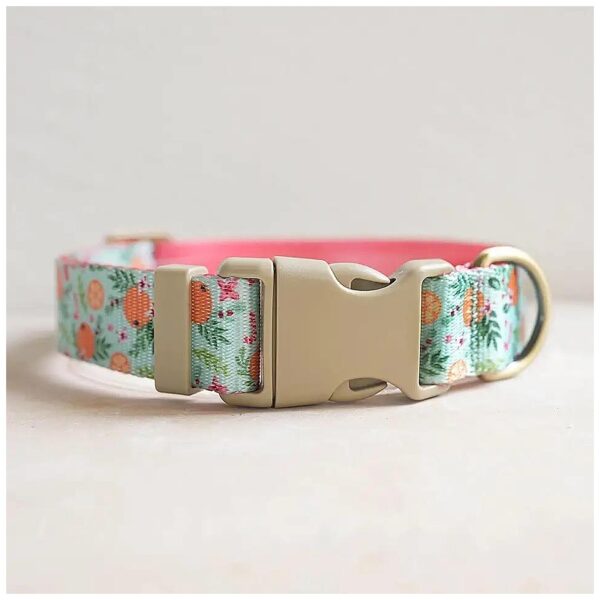 Medium Size Fruit Orange Floral Pattern Nylon Dog Collar for Rustic