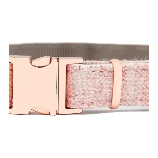 Medium Size Nylon Dog Collar with Pink and Rose Gold Color Scheme and Adjustable Buckle